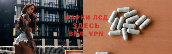индика Аркадак